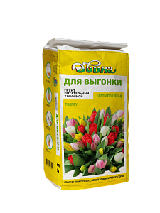 Грунт для растений Двина Питательный для выгонки